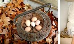 Kuras megállt a tojásokat a nyáron, mit kell tennie?