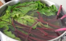 Kako pripraviti pkhali z rdečim kvasom in čudovito grahovo omako satsivi pkhali s stročjim fižolom in grahom