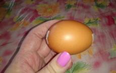 Kelas master “Telur yang bagus dengan jahitan satin”